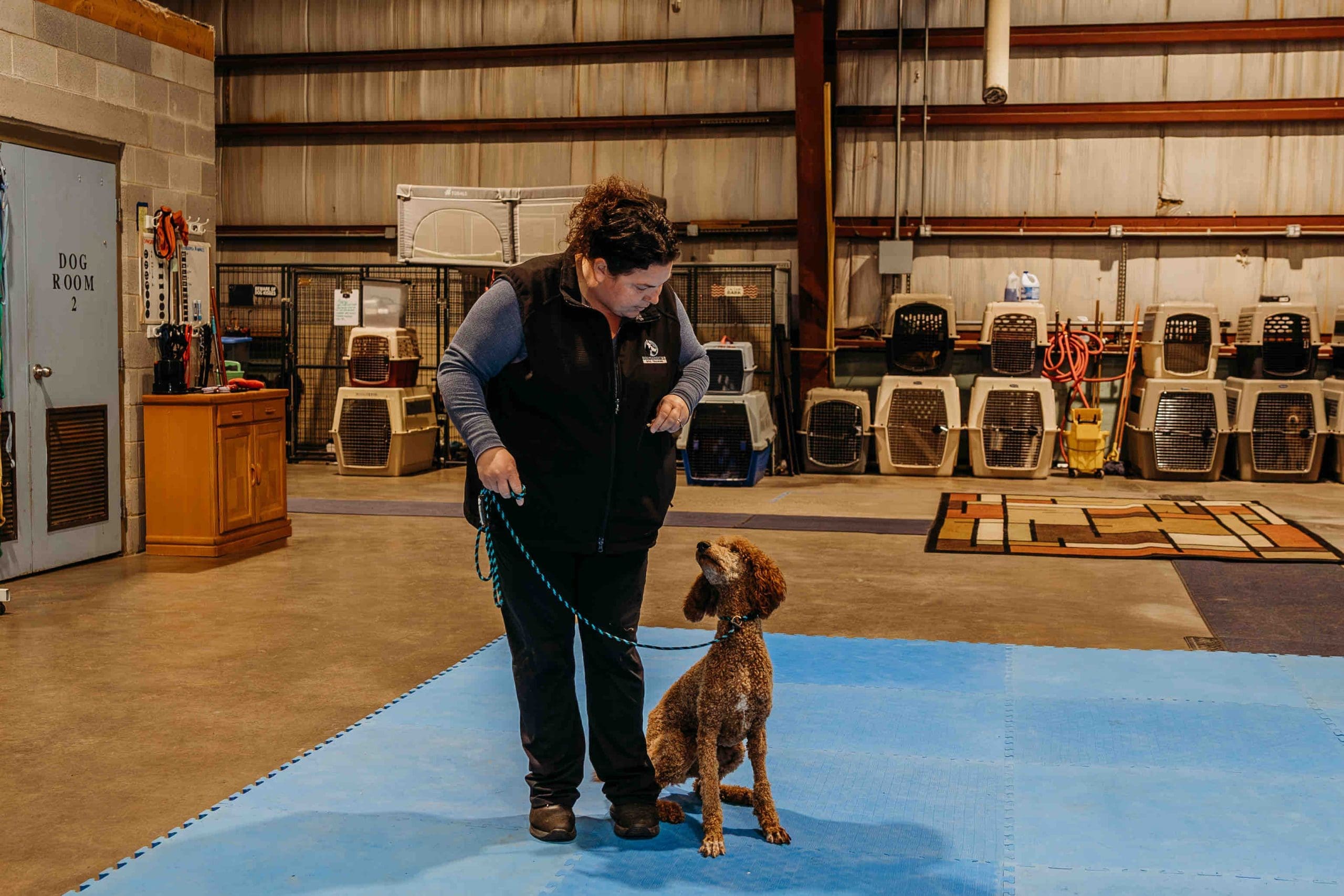 Trainer working one-on-one with a dog on leash during a private lesson